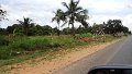 AMO (221)